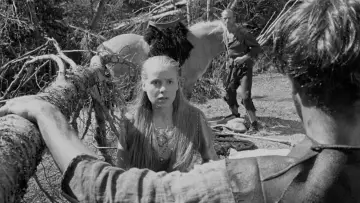 Zasłona do filmu "Źródło" #185555