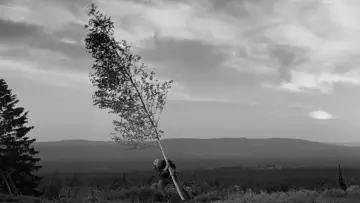 Zasłona do filmu "Źródło" #753460