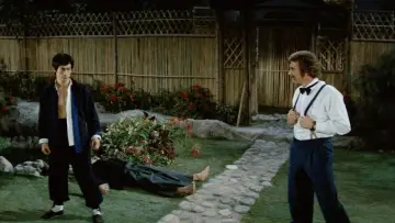 Zasłona do filmu "Wściekłe pięści" #688276