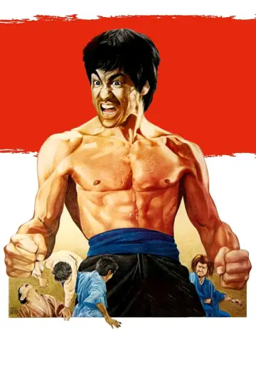 Plakat do filmu "Wściekłe pięści" #688285
