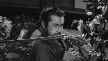 Zasłona do filmu "Sanjuro - Samuraj znikąd" #1647422