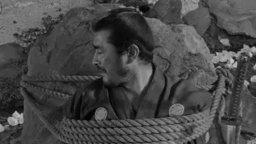 Zasłona do filmu "Sanjuro - Samuraj znikąd" #752012
