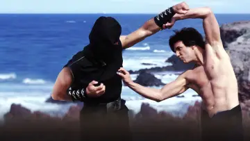 Zasłona do filmu "Kung Pow: Wejście Wybrańca" #873977