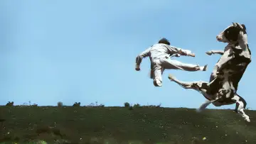 Zasłona do filmu "Kung Pow: Wejście Wybrańca" #873978