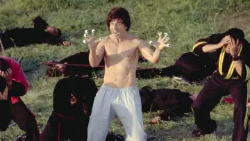 Zasłona do filmu "Kung Pow: Wejście Wybrańca" #941442