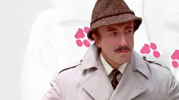 Zasłona do filmu "Powrót Różowej Pantery" #994962