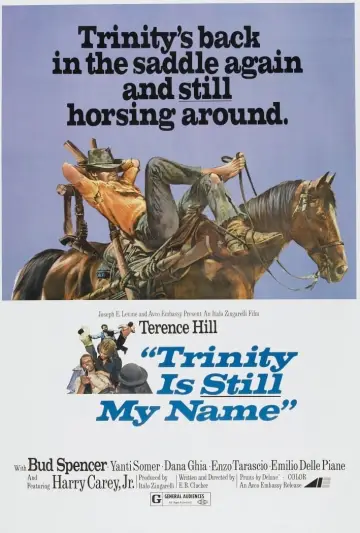 Plakat do filmu "Niepoprawny Trinity" #108794