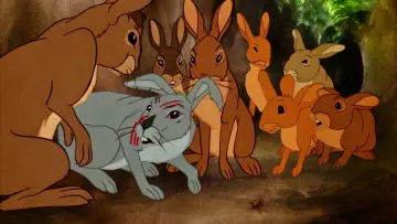 Zasłona do filmu "Wzgórze królików" #1631851