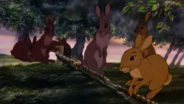 Zasłona do filmu "Wzgórze królików" #1631853