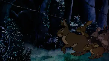 Zasłona do filmu "Wzgórze królików" #990395