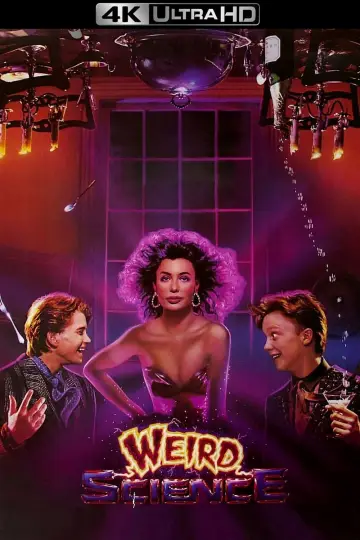 Plakat do filmu "Dziewczyna z Komputera" #277291