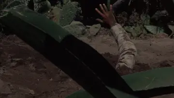 Zasłona do filmu "Dajcie mi głowę Alfredo Garcii" #991739
