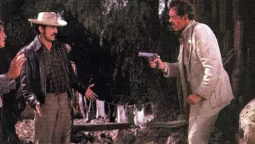 Zasłona do filmu "Dajcie mi głowę Alfredo Garcii" #991754