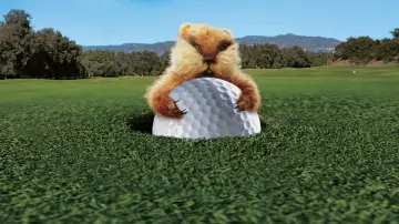 Zasłona do filmu "Golfiarze" #273429