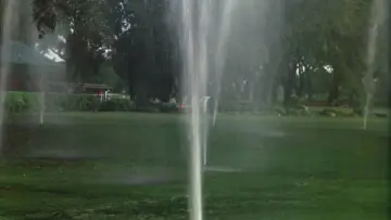 Zasłona do filmu "Golfiarze" #806361
