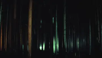 Zasłona do filmu "Odgłosy" #809068