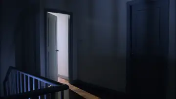 Zasłona do filmu "Niech żyje miłość" #1635725