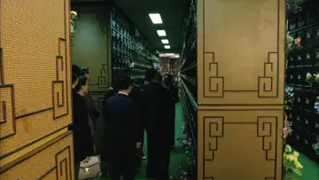 Zasłona do filmu "Niech żyje miłość" #1635744