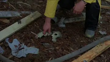 Zasłona do filmu "Piątek trzynastego 7: Nowa Krew" #893321
