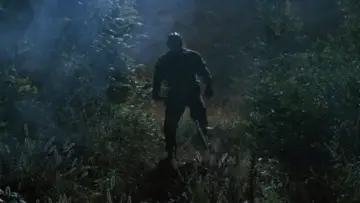 Zasłona do filmu "Piątek trzynastego 9: Jason idzie do piekła" #1416024