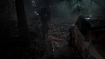 Zasłona do filmu "Piątek trzynastego 6: Jason Żyje" #669758