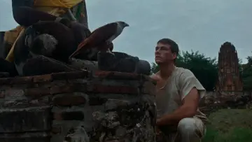 Zasłona do filmu "Kickboxer" #1580852
