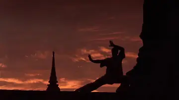 Zasłona do filmu "Kickboxer" #808303