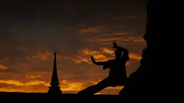 Zasłona do filmu "Kickboxer" #808306