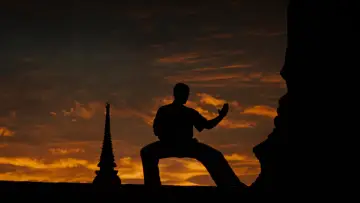 Zasłona do filmu "Kickboxer" #808308