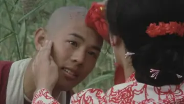 Zasłona do filmu "Klasztor Shaolin" #387372