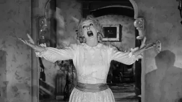 Zasłona do filmu "Co się Zdarzyło Baby Jane?" #182634
