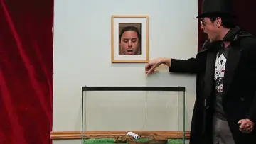 Zasłona do filmu "Jackass: Świry w akcji 2" #947566