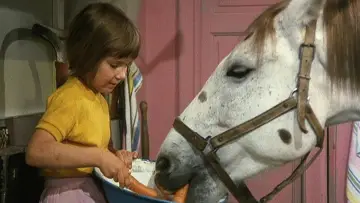Zasłona do filmu "Pippi Långstrump" #441583