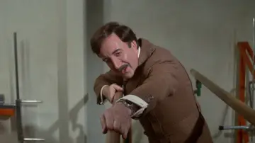 Zasłona do filmu "Różowa Pantera kontratakuje" #939842