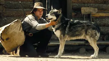 Zasłona do filmu "Biały Kieł" #344761