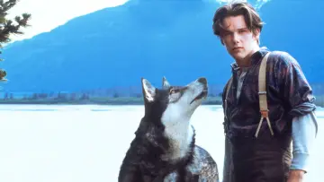 Zasłona do filmu "Biały Kieł" #344762