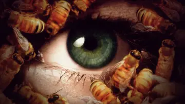 Zasłona do filmu "Candyman III: Dzień umarłych" #345635