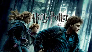Zasłona do filmu "Harry Potter i Insygnia Śmierci: Część I" #11468