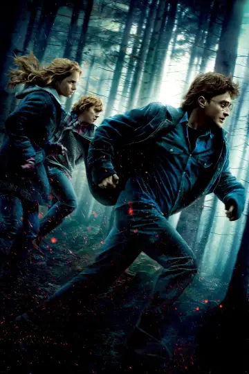 Plakat do filmu "Harry Potter i Insygnia Śmierci: Część I" #166070