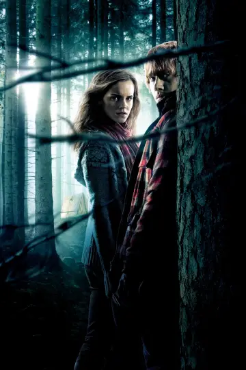 Plakat do filmu "Harry Potter i Insygnia Śmierci: Część I" #166071