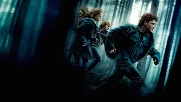 Zasłona do filmu "Harry Potter i Insygnia Śmierci: Część I" #911420