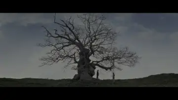 Zasłona do filmu "Harry Potter i Insygnia Śmierci: Część II" #555385