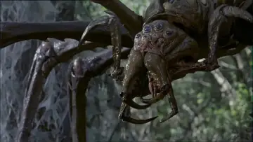 Zasłona do filmu "Arachnid" #495126