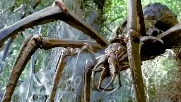 Zasłona do filmu "Arachnid" #495129