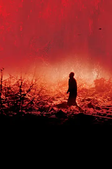 Plakat do filmu "Kalwaria" #492528