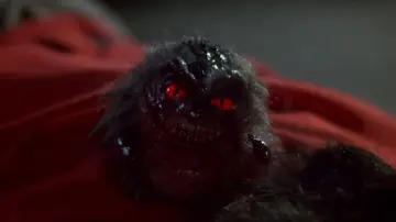Zasłona do filmu "Critters 4" #1023569