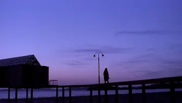 Zasłona do filmu "Il Mare" #397953