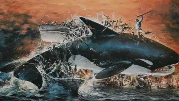 Zasłona do filmu "Orka. Wieloryb zabójca" #382785