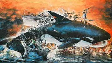 Zasłona do filmu "Orka. Wieloryb zabójca" #382787