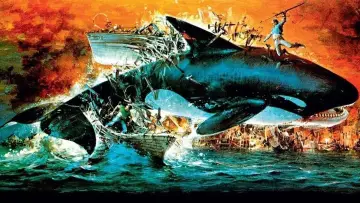 Zasłona do filmu "Orka. Wieloryb zabójca" #901760